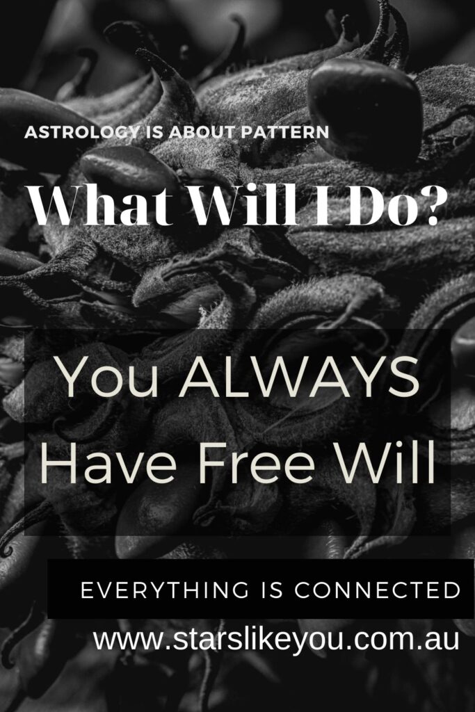 astrology, fate and freewill - do astrology forecasts work?